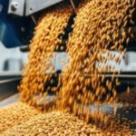 Polonia – Producerea hranei pentru animale